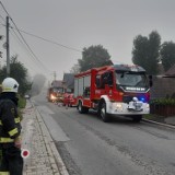 Podhale. Kucyk wbiegł pod koła samochodu. Zwierzę nie przeżyło wypadku 