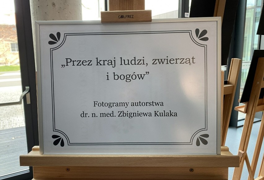 Zbigniew Kulak, chirurg, który został ambasadorem. Fantastyczne zdjęcia byłego senatora i ambasadora w Leszczyńskiej Galerii Książki