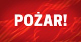 Pożar przy ul. Brązowej we Wrocławiu. Nie żyje jedna osoba