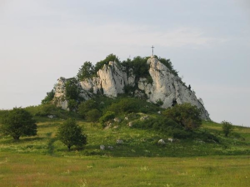 Zawiercie-Bzów

W Zawierciu-Bzowie znajduje się Skała...