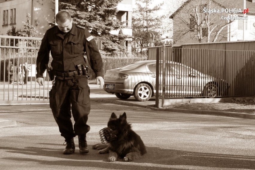 Częstochowa: Policja. Nie żyje Rambo, pies policyjny, który służył w częstochowskim garnizonie od 2012 roku [ZDJĘCIA]