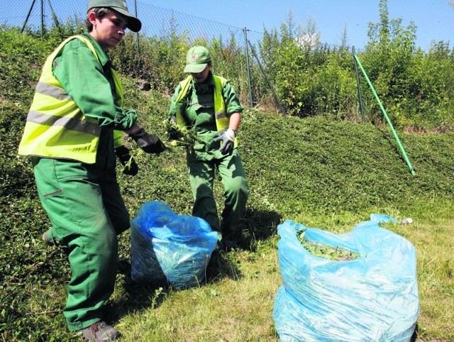 Sprzątaczki z legnickiego Dozorbudu nie chcą zmieniać pracodawcy