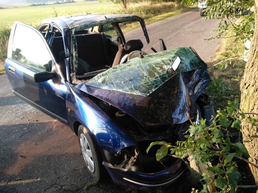 18 latka rozbiła auto na drzewie między  Jezierzycami  a Zbarzewem