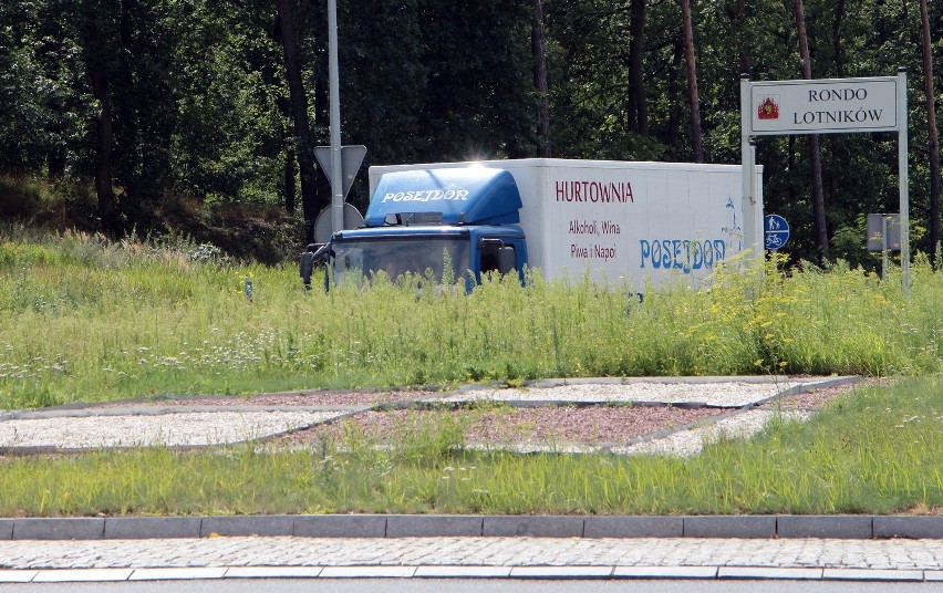 Zielsko rośnie przy średnicówce w Grudziądzu. Tak wygląda...