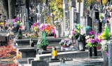 Świńskie głowy na cmentarzu przy Ogrodowej w Łodzi. Za znieważenie odpowie 5 osób