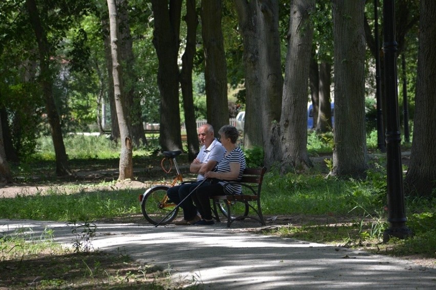 Park Kościuszki w Sulechowie jest remontowany. Mieszkańcy...
