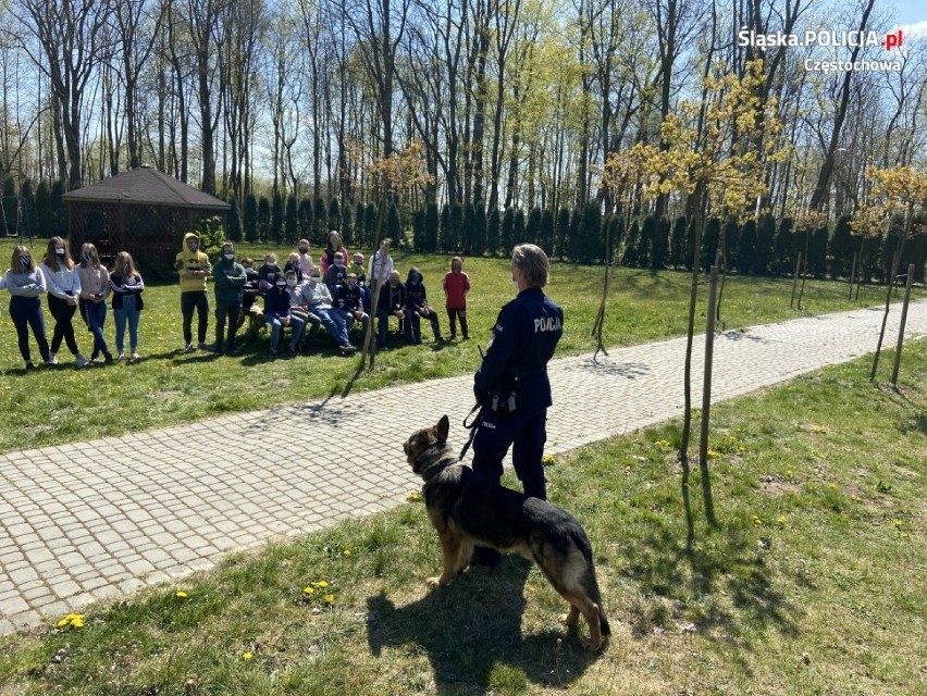 Policjanci z końmi i psami odwiedzili domy dziecka ZDJĘCIA