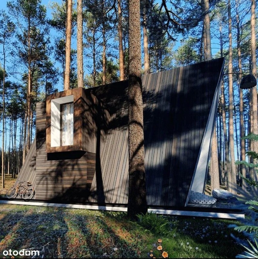 Całoroczne, luksusowe domki w lesie na zboczach Raduni w...