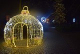 Kędzierzyn-Koźle na święta. Najdroższa iluminacja świąteczna w historii miasta