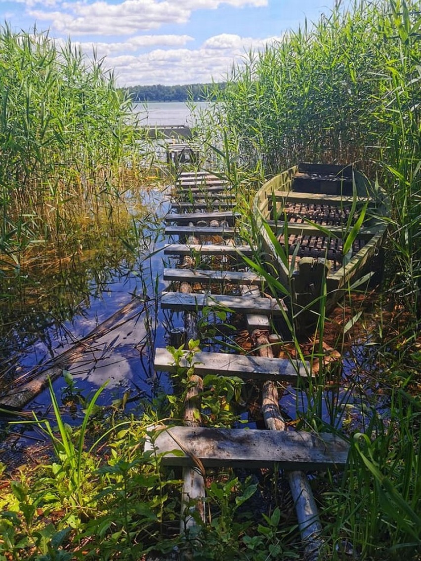 Okolice Paklicy w obiektywie prokuratora Łukasza Wojtasika