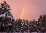 Nietypowe zjawisko meteorologiczne nad powiatem olkuskim. Na zimowym niebie można było podziwiać tęczę. Zobaczcie zdjęcia