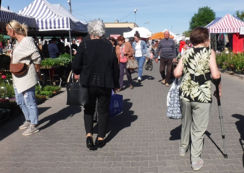 Duży ruch na targowisku Korej w Radomiu w czwartek 19 maja. Wiele osób robiło zakupy na bazarze. Zobacz zdjęcia