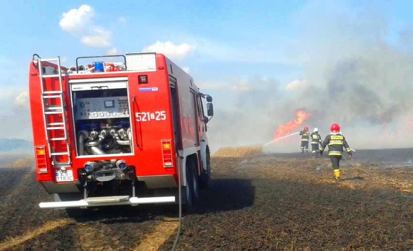 Ogień w Noskowie strawił 5 hektarów pszenicy