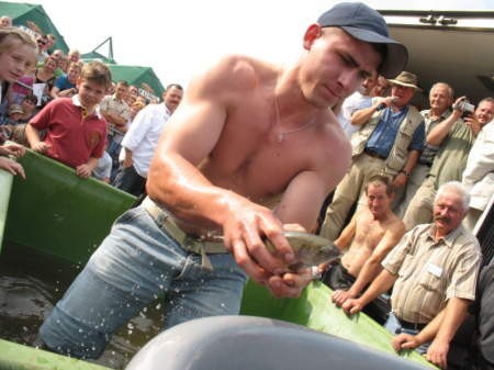 Łapanie ryb z basenów, to sztandarowa konkurencja &amp;#8222;Święta Pstrąga&amp;#8221; Fot. Wojciech Piepiorka