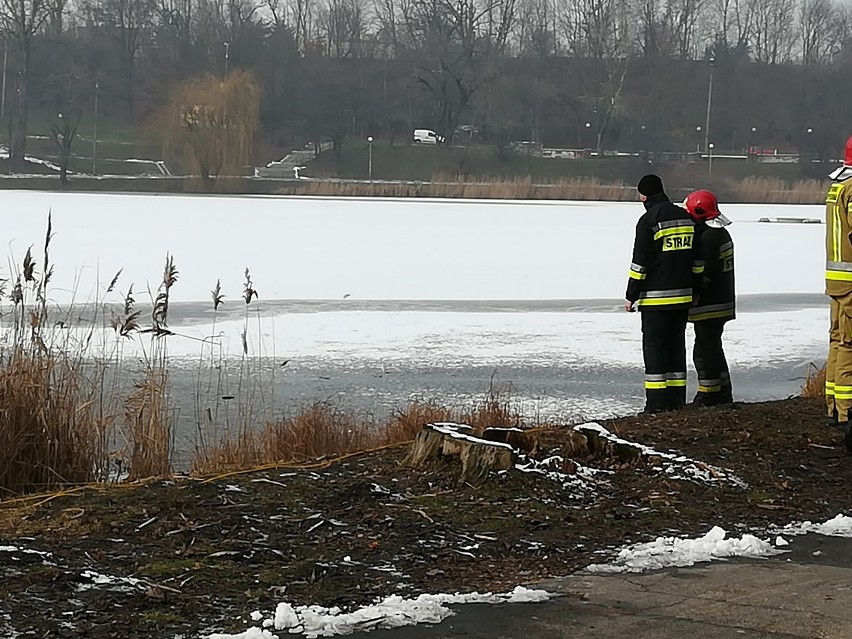Strażacy poszukiwali psa pod wodą jeziora Jelonek