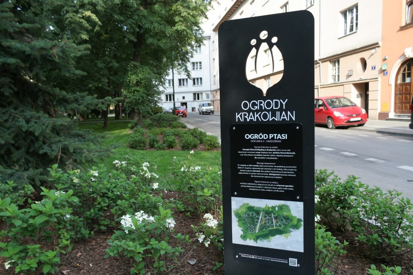 Kraków ma kolejny park kieszonkowy. Otwarto "Ptasi ogród"
