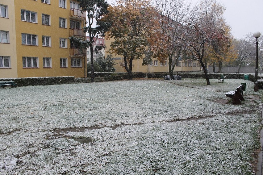 Zima przyszła do Głogowa (Foto)