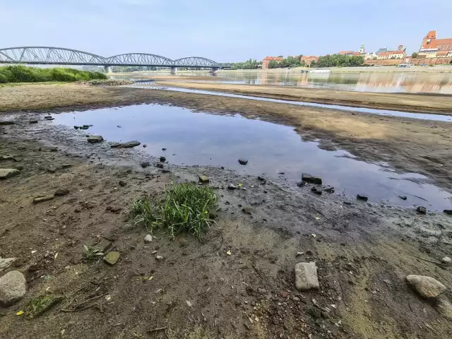 Wisła w Toruniu, bardzo niski poziom wody