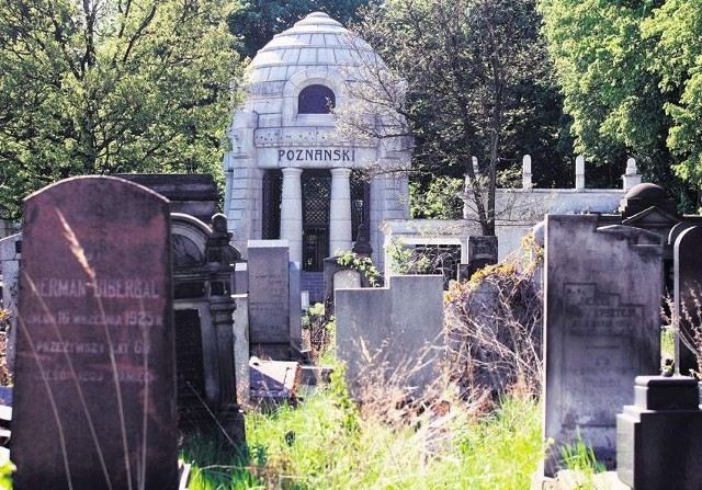 Sprzątają cmentarz żydowski w Łodzi
