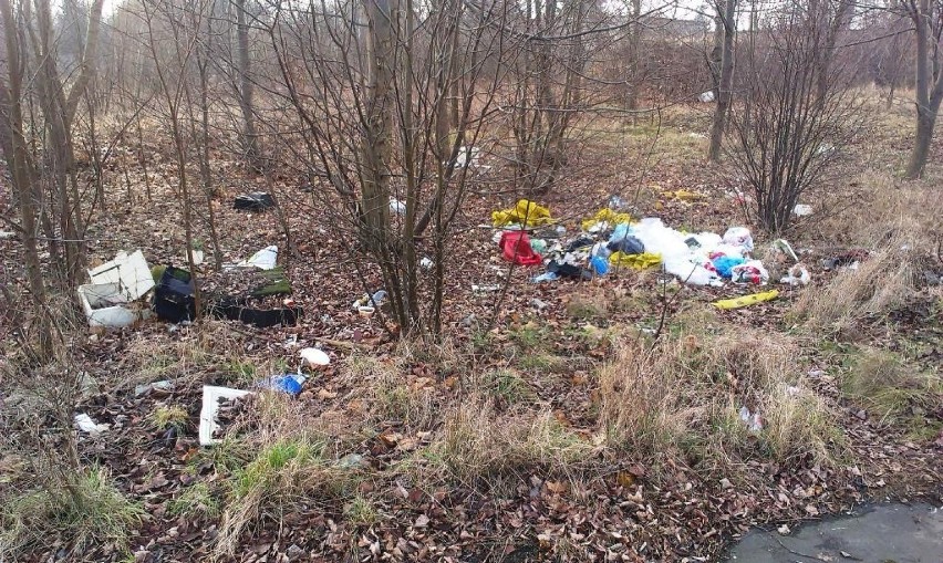 Tak wyglądają okolice strzelnicy przy Bukowskiej