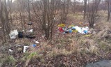 Śmieci w Poznaniu: Syf wokół strzelnicy przy Bukowskiej [ZDJĘCIA INTERNAUTY]