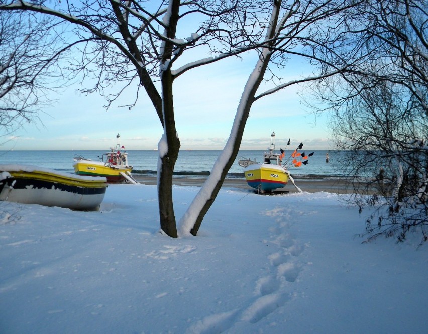 Zimowa niedziela w Sopocie [Zdjęcia]