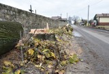 Wycięto wszystkie drzewa przy cmentarzu na ul. Zuzanny w Sosnowcu. Zaczął się remont drogi