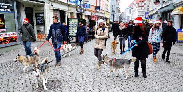 A tak rok temu wyglądał mikołajkowy marsz z psiakami ze schroniska w Zielonej Górze.