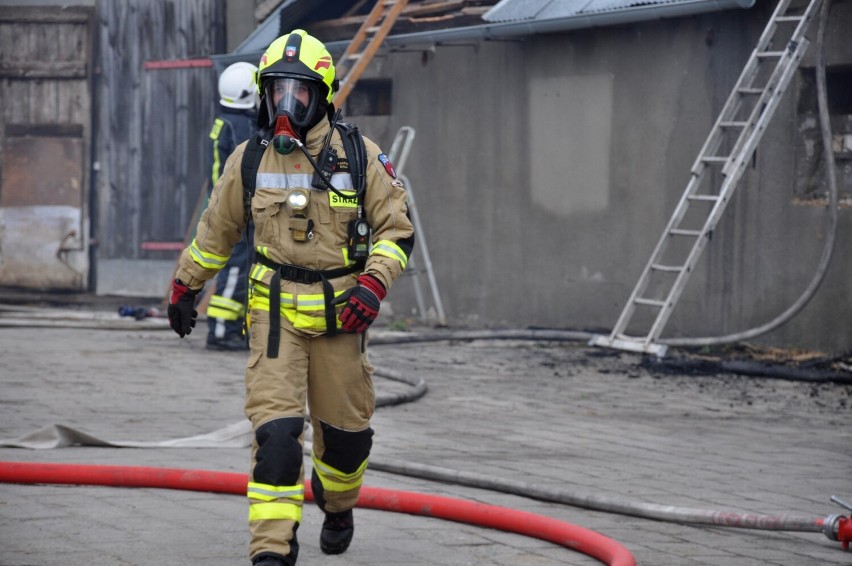 Do gaszenia pożaru stodoły w Sośnie zadysponowano 24...