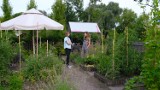 W Warszawie jest już niemal 30 ogrodów społecznościowych. Mieszkańcy wspólnie hodują rośliny, pieką chleb i robią przetwory