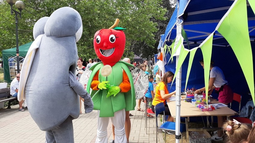 Miasteczko ekologiczne w Opolu. Festyn ekologiczny na placu Wolności. Mnóstwo atrakcji dla małych i dużych [ZDJĘCIA, WIDEO] 