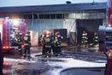 Pożar hali produkcyjnej na Tuwima w Łodzi [FOTO, FILM]