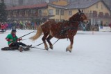 Zimowa impreza gminy Somonino, Mistrzostwa Kaszub w Powożeniu na Szlópie, odwołana