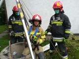 Niesamowita akcja strażaków z Wielunia i Skomlina. Ruszyli na pomoc małemu kotkowi ZDJĘCIA