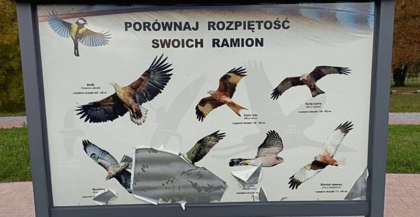 Plac zabaw przy Kępinie w Zduńskiej Woli został oddany do...