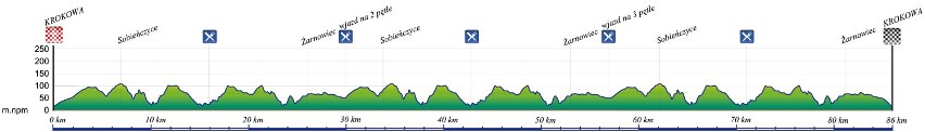 Sprawdź trasę i profile trasy Skandia Maraton Lang Team w Krokowej