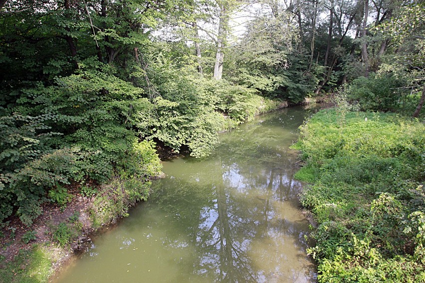 Rzeka Roku 2014