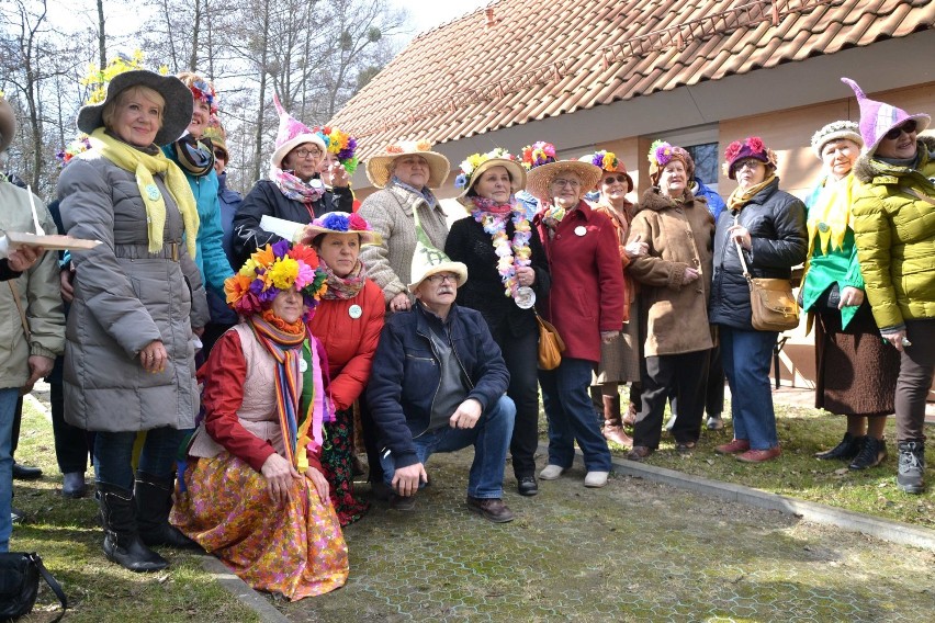 Członkowie UTW w Malborku powitali wiosnę [ZDJĘCIA]. Doroczne spotkanie przy dębie