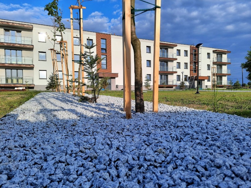 Osiedle Park Cegielnia na Dąbrowie - inwestor Tompol