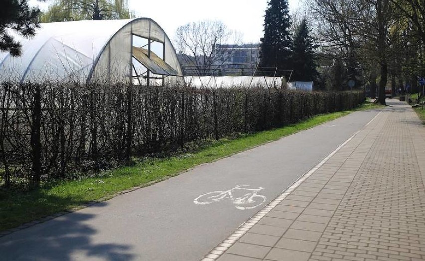 Tak wyglądają ścieżki rowerowe z asfaltu w Krakowie