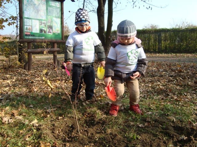 Sadzenie nowych drzew odbyło się w ramach zajęć z zakresu edukacji ekologicznej pod hasłem &#8222;Moje spotkanie z drzewem&#8221;.