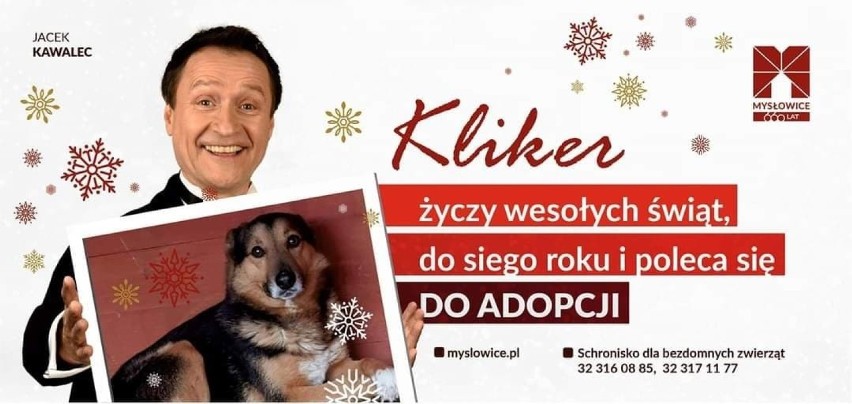 Takie grafiki na billboardach znajdziemy na terenie miasta....