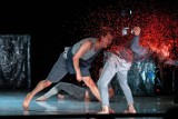 Taneczny „Romeos&Julias” i marionetkowy „Hamlet w drodze” z nagrodami. 26. Międzynarodowy Festiwal Szekspirowski w Gdańsku | ZDJĘCIA