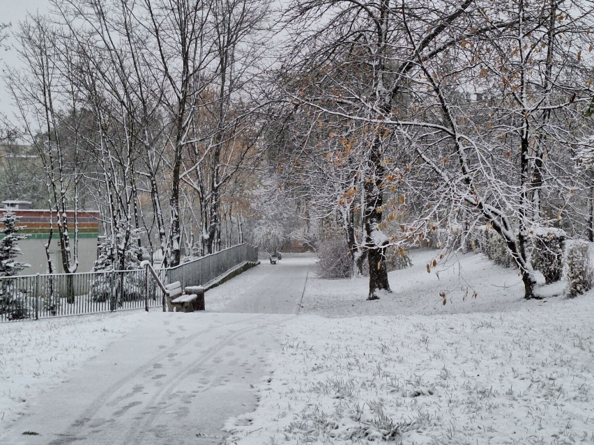Atak zimy w Kielcach. Biały puch pokrył ulice i chodniki. Na drogach ślisko. Zobacz zdjęcia
