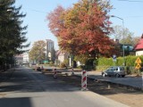Ulica Kościuszki w Pszczynie bez klonów. Trwa remont