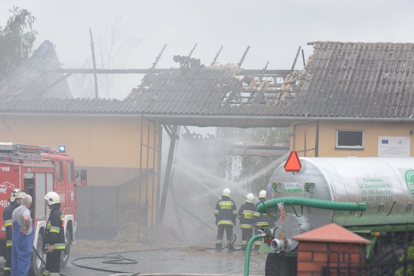 Stodoła w ogniu w Szynwałdzie. Ewakuowano 200 tuczników [wideo, zdjęcie]
