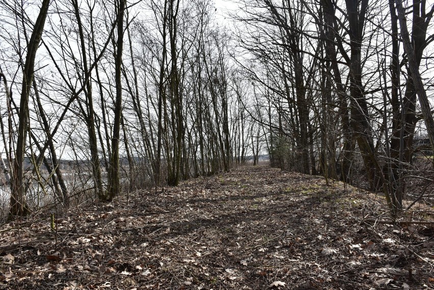 Śląskie Mazury są w Żorach i w gminie Czerwionka-Leszczyny....