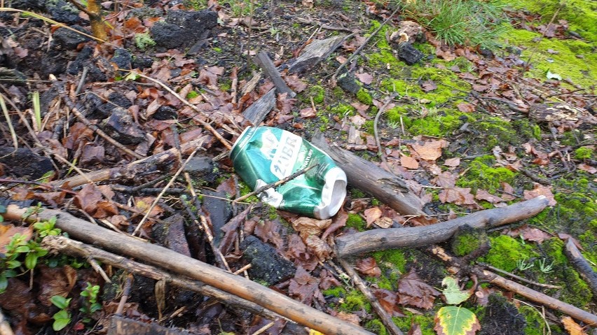 Apelujemy o rozsądek! Kolejne śmieci znalezione w lesie... Wstyd! 