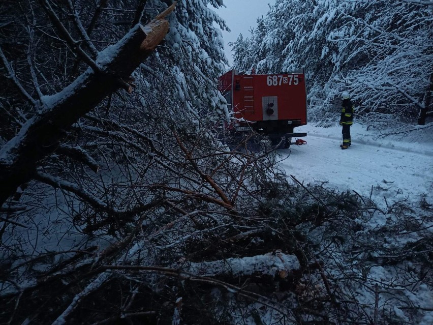 Pod naporem śniegu w powiecie zawierciańskim łamią się drzewa. Strażacy mają dużo pracy