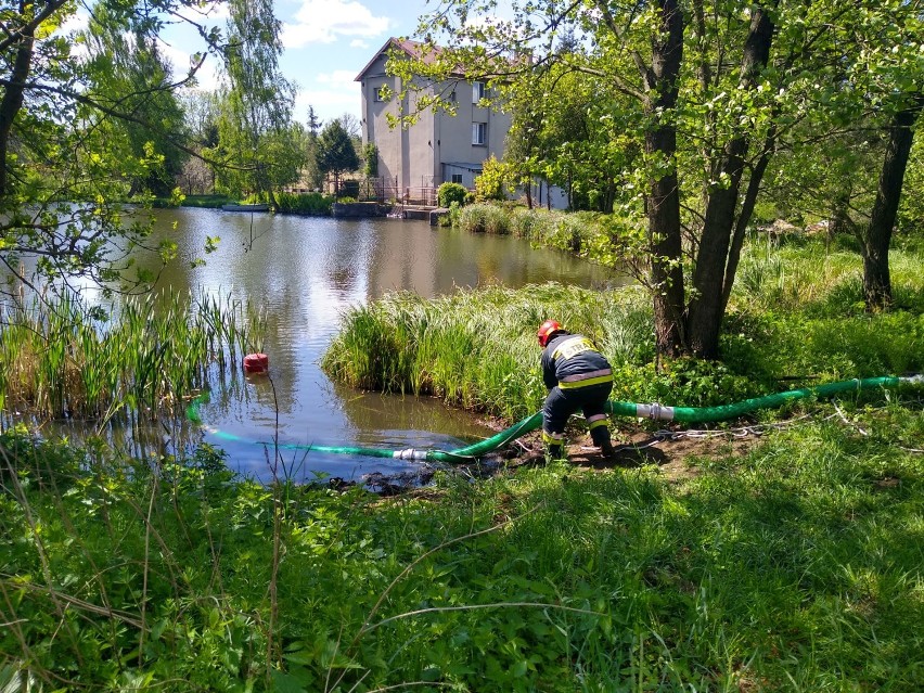 Straż pożarna z Rypina ruszyła do lasu [zobacz zdjęcia]